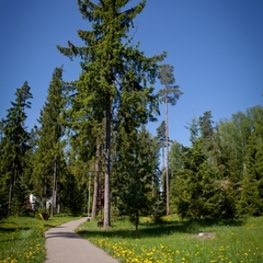 Спа-отель Country Resort, Вербилки, Московская область