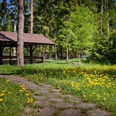 Спа-отель Country Resort, Вербилки, Московская область