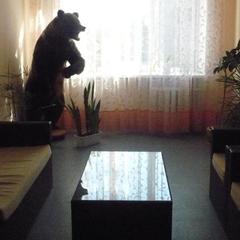 Отель Жемчужина Севера, Вельск, Архангельская область