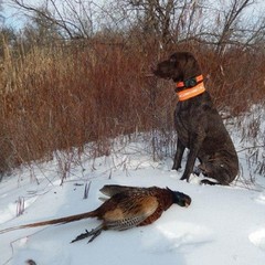 Рыболовная база Московская, Верхнекалиновский, Астраханская область