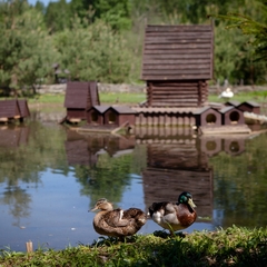 Спа-отель Country Resort, Вербилки, Московская область