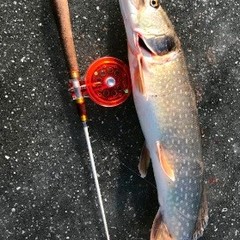 Рыболовная база Московская, Верхнекалиновский, Астраханская область