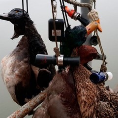 Рыболовная база Московская, Верхнекалиновский, Астраханская область