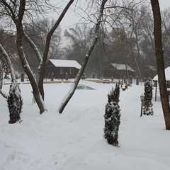 Рыболовно-охотничья база Дельта Трофи, Камызякский район, Астраханская область