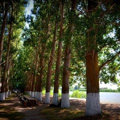 Коттеджный комплекс Зеленый берег, Верхнекалиновский, Астраханская область