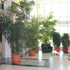 Санаторий-профилакторий Юбилейный, Верхний Тагил, Свердловская область