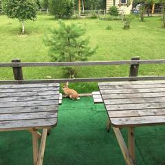 Кемпинг  На Поляне, Верхняя Пышма, Свердловская область