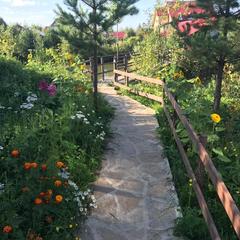 Кемпинг  На Поляне, Верхняя Пышма, Свердловская область