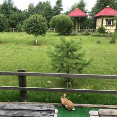 Кемпинг  На Поляне, Верхняя Пышма, Свердловская область