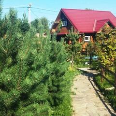 Кемпинг  На Поляне, Верхняя Пышма, Свердловская область