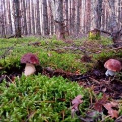Дом рыбака Дунаец, Весьегонск, Тверская область