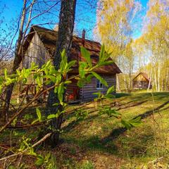 База отдыха Кабанчики, Веськово, Ярославская область