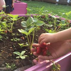 Гостевой дом Маленький дом с большим сердцем, Веськово, Ярославская область