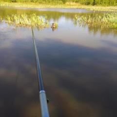 База отдыха Кабанчики, Веськово, Ярославская область