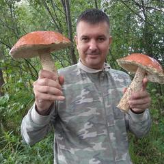 База отдыха Кабанчики, Веськово, Ярославская область