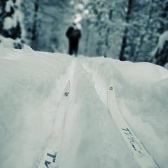 База отдыха Урев, Веськово, Ярославская область