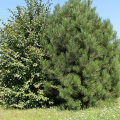 База отдыха Портофлот, Весёлый, Ростовская область