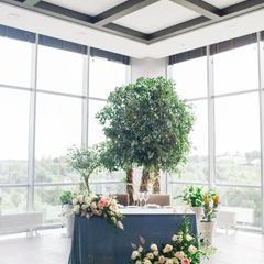 Отель Астро Плаза, Видное, Московская область