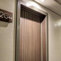 Отель Астро Плаза, Видное, Московская область