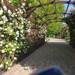 Отель Платан Resort, Витязево, Краснодарский край