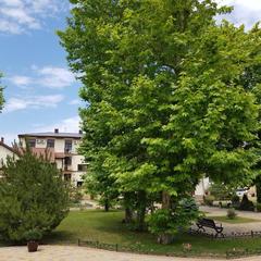 Отель Платан Resort, Витязево, Краснодарский край