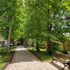 Отель Платан Resort, Витязево, Краснодарский край