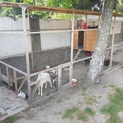Отель Сален, Витязево, Краснодарский край