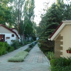 База отдыха Динамо, Витязево, Краснодарский край