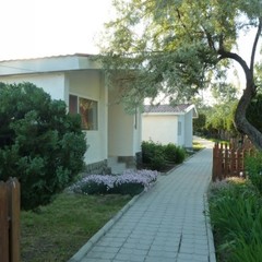 База отдыха Динамо, Витязево, Краснодарский край