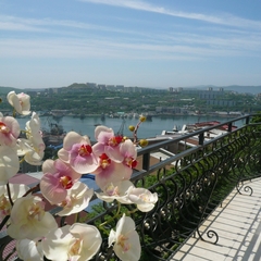 Гостиница Аквилон, Владивосток, Приморский край