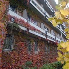 Отель Русь, Владивосток, Приморский край