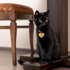 Отель Сибирское подворье, Владивосток, Приморский край