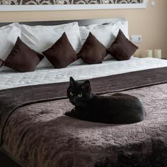 Отель Сибирское подворье, Владивосток, Приморский край