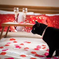 Отель Сибирское подворье, Владивосток, Приморский край