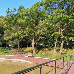 Парк-отель Парк-Отель Седанка, Владивосток, Приморский край