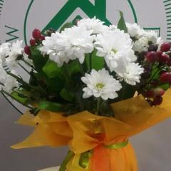 Хостел Грин Дак, Владивосток, Приморский край