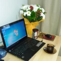 Хостел Грин Дак, Владивосток, Приморский край