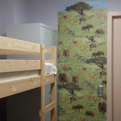 Хостел Грин Дак, Владивосток, Приморский край