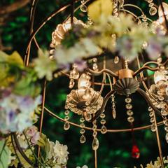 Отель Кедровая Падь, Владивосток, Приморский край