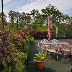 Отель Кедровая Падь, Владивосток, Приморский край