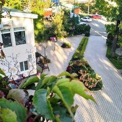 Отель Кедровая Падь, Владивосток, Приморский край