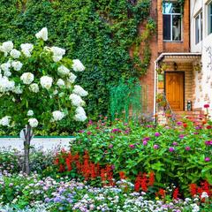 Отель Кедровая Падь, Владивосток, Приморский край