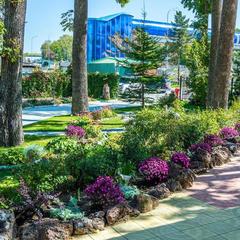 Отель Кедровая Падь, Владивосток, Приморский край