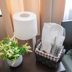 Хостел Оптимум, Владивосток, Приморский край