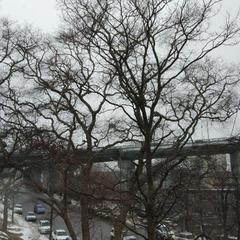 Гостевой дом Золотой Мост, Владивосток, Приморский край