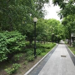  Капсульный отель Алоха, Владивосток, Приморский край