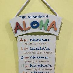  Капсульный отель Алоха, Владивосток, Приморский край