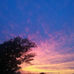 Гостиница Вилла Santarina, Владивосток, Приморский край