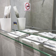 Гостиничный комплекс Eagle House Inn, Владивосток, Приморский край