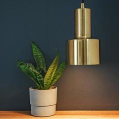 Отель История, Владивосток, Приморский край